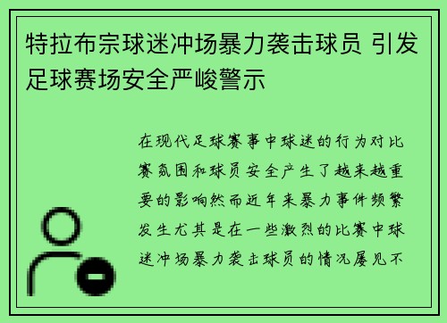 特拉布宗球迷冲场暴力袭击球员 引发足球赛场安全严峻警示